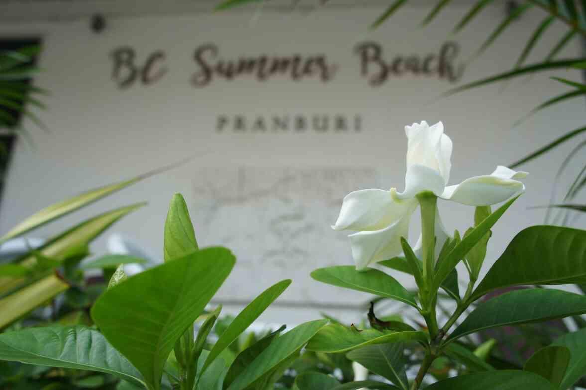 Bc Summer Beach Pranburi Kültér fotó